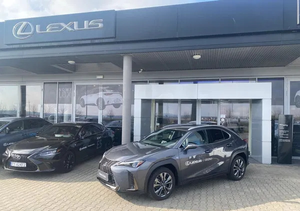 lexus sieraków Lexus UX cena 159900 przebieg: 6367, rok produkcji 2022 z Sieraków